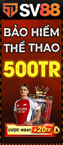 banner cá cược